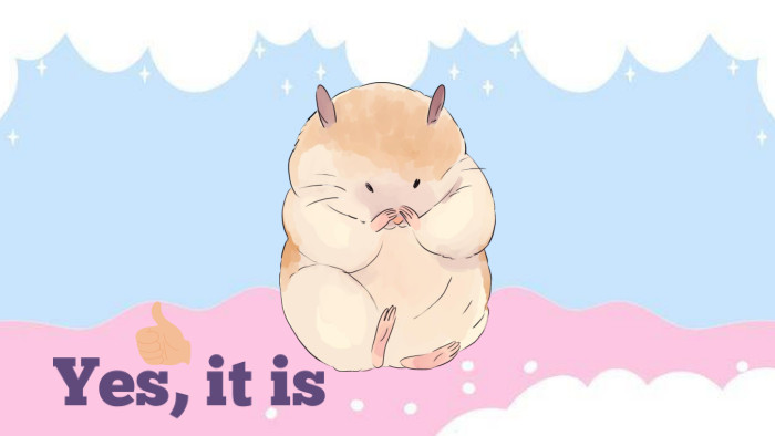 Yes, it is