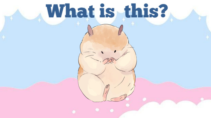 What is this?