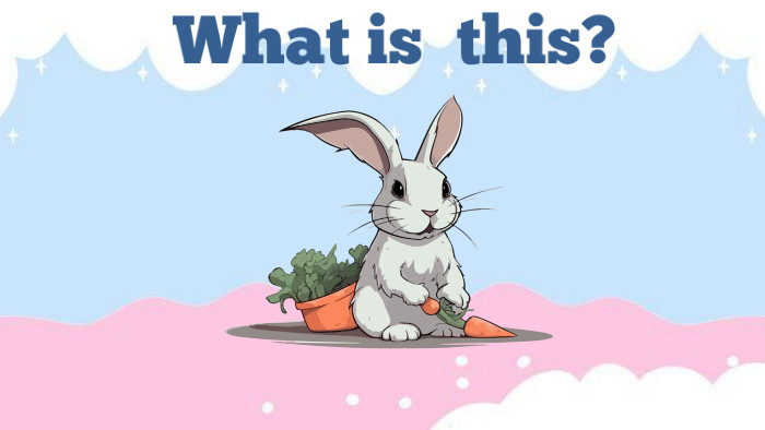 What is this?