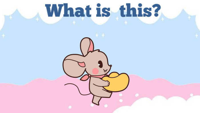 What is this?