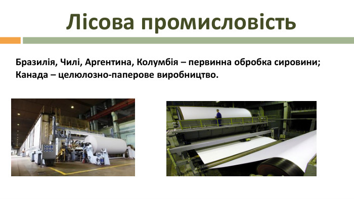 Лісова промисловість Бразилія, Чилі, Аргентина, Колумбія – первинна обробка сировини; Канада – целюлозно-паперове виробництво.