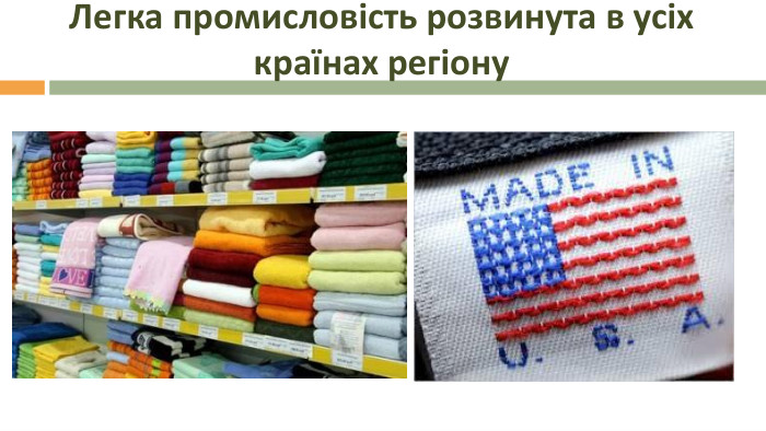 Легка промисловість розвинута в усіх країнах регіону 