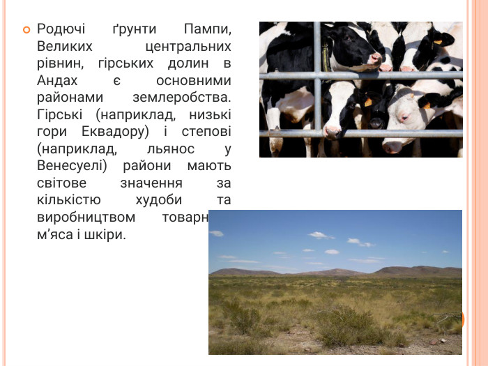 Родючі ґрунти Пампи, Великих центральних рівнин, гірських долин в Андах є основними районами землеробства. Гірські (наприклад, низькі гори Еквадору) і степові (наприклад, льянос у Венесуелі) райони мають світове значення за кількістю худоби та виробництвом товарного м’яса і шкіри.