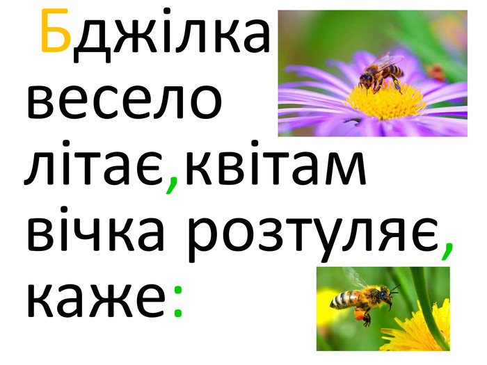 Бджілка весело літає,квітам вічка розтуляє, каже: