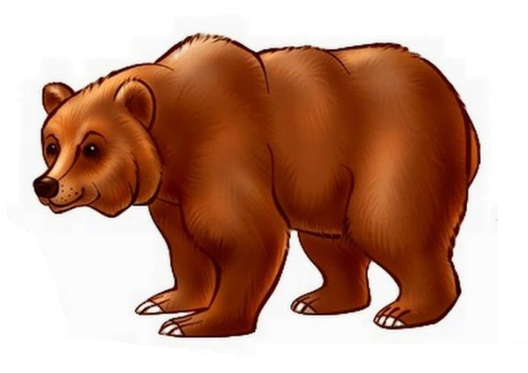 КОНСПЕКТ ООД по рисованию «Дикие животные. Медведь» | План-конспект занятия  по рисованию (подготовительная группа) по теме: | Образовательная  социальная сеть
