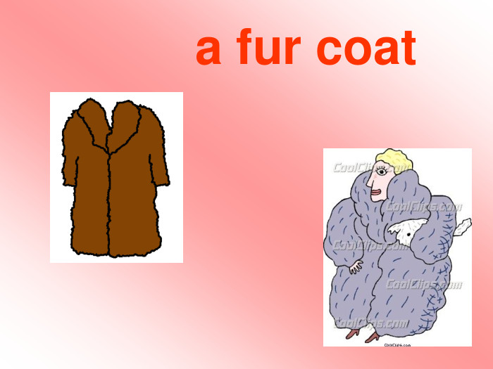  a fur coat 