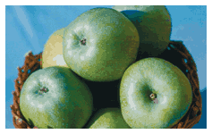D:\Опис сортів саджанців яблуні, які пропонує СонцеСад_files\YA-1-s.gif