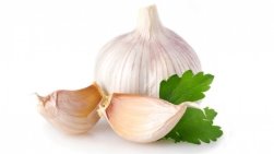 http://suseky.com/wp-content/uploads/2016/12/study-garlic-builds-muscle_1.jpg