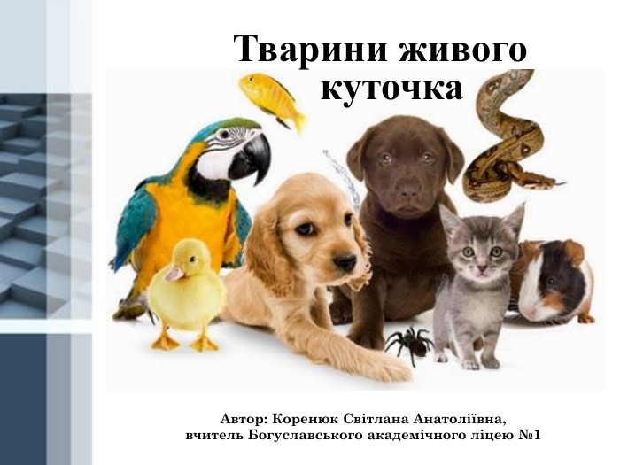 Автор: Коренюк Світлана Анатоліївна, вчитель Богуславського академічного ліцею №1 Тварини живого куточка