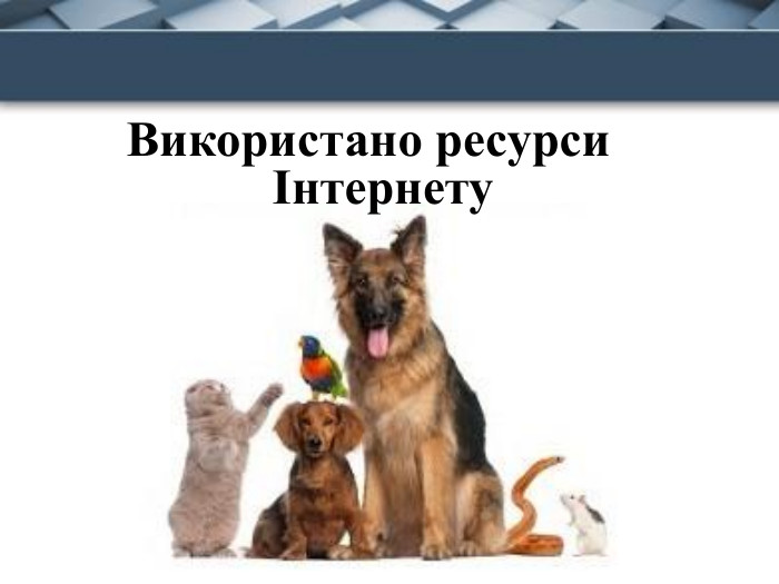 Використано ресурси Інтернету