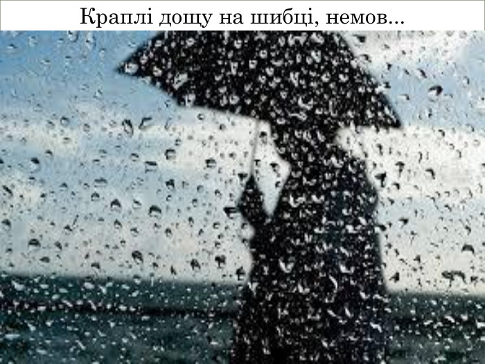 Краплі дощу на шибці, немов...