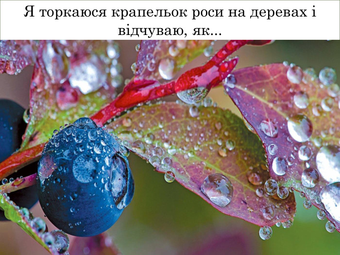 Я торкаюся крапельок роси на деревах і відчуваю, як...
