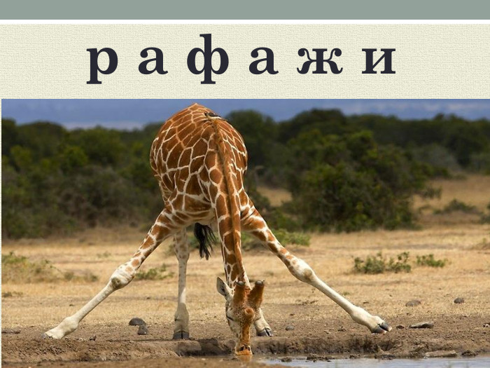 р а ф а ж и