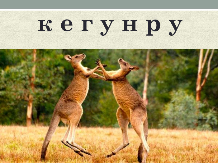 к е г у н р у 