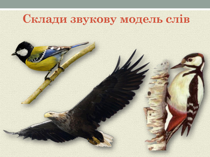 Склади звукову модель слів