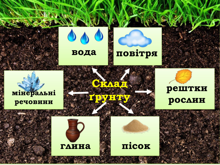  водаповітрярешткирослинмінеральніречовиниглинапісок. Складґрунту