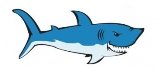Картинки по запросу акула малюнок
