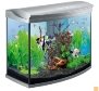 Картинки по запросу акваріум  картинка