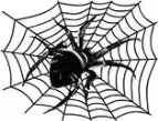 картинки для дітей павук у павутинні