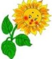 картинки для дітей соняшник