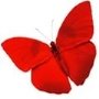 картинки для дітей червоний метелик