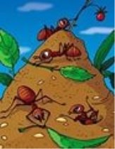 картинки для дітей мурашка