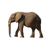 http://pngimg.com/uploads/elephants/elephants_PNG18792.png