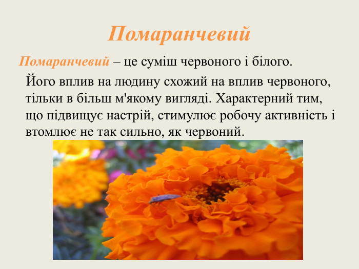 Помаранчевий Помаранчевий – це суміш червоного і білого. Його вплив на людину схожий на вплив червоного, тільки в більш м'якому вигляді. Характерний тим, що підвищує настрій, стимулює робочу активність і втомлює не так сильно, як червоний.