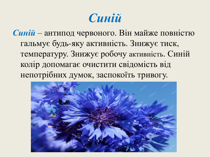 Синій. Синій – антипод червоного. Він майже повністю гальмує будь-яку активність. Знижує тиск, температуру. Знижує робочу активність. Синій колір допомагає очистити свідомість від непотрібних думок, заспокоїть тривогу.