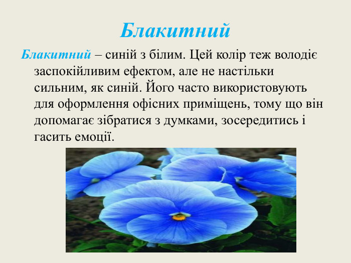 Блакитний. Блакитний – синій з білим. Цей колір теж володіє заспокійливим ефектом, але не настільки сильним, як синій. Його часто використовують для оформлення офісних приміщень, тому що він допомагає зібратися з думками, зосередитись і гасить емоції.