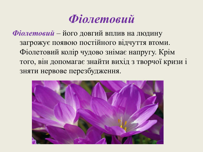 Фіолетовий. Фіолетовий – його довгий вплив на людину загрожує появою постійного відчуття втоми. Фіолетовий колір чудово знімає напругу. Крім того, він допомагає знайти вихід з творчої кризи і зняти нервове перезбудження.