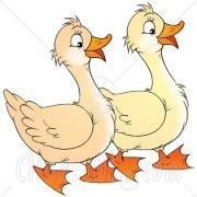 http://www.rdobd.com.ua/images/stories/77_31172-clipart-illustration-of-two-geese-waddling-and-talking.jpg