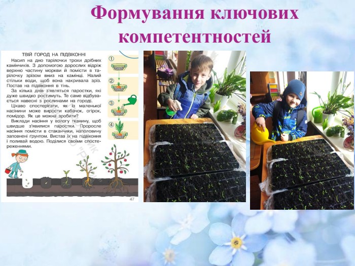 Формування ключових компетентностей