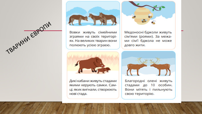 Тварини Європи
