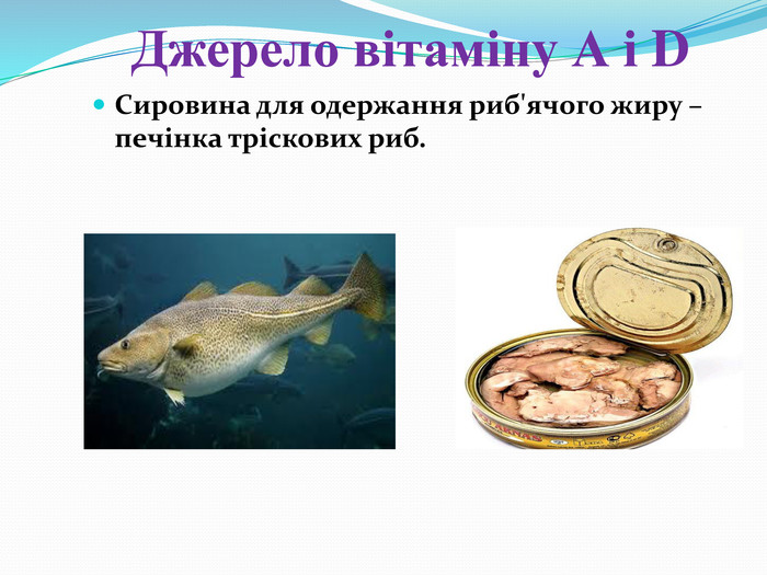 Джерело вітаміну А і DСировина для одержання риб'ячого жиру – печінка тріскових риб.