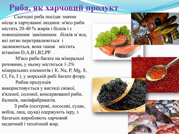  Сьогодні риба посідає значне місце в харчуванні людини: м'ясо риби містить 20-40 % жирів і білків і є повноцінним замінником білків м`яса, які легко перетравлюються і засвоюються, вона також містить вітаміни D,A,B1,B2,PP. . М'ясо риби багате на мінеральні речовини, у ньому міститься 1-2% мінеральних елементів ( К, Na, P, Mg, S, Cl, Fе, I ), у морській рибі багато фтору. Рибна продукція використовується у вигляді свіжої, в'яленої, солоної, консервованої риби, баликів, напівфабрикатів. З риби (осетрові, лососеві, судак, вобла, лящ, щука) одержують ікру, з багатьох виробляють харчовий медичний і технічний жир. Риба, як харчовий продукт