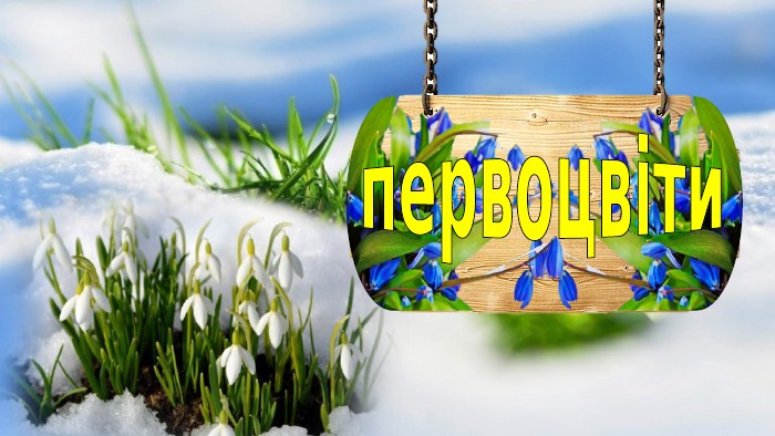 первоцвіти