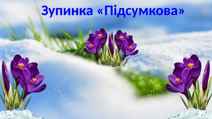 Зупинка «Підсумкова»