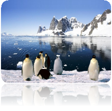 Картинки по запросу антарктида фото