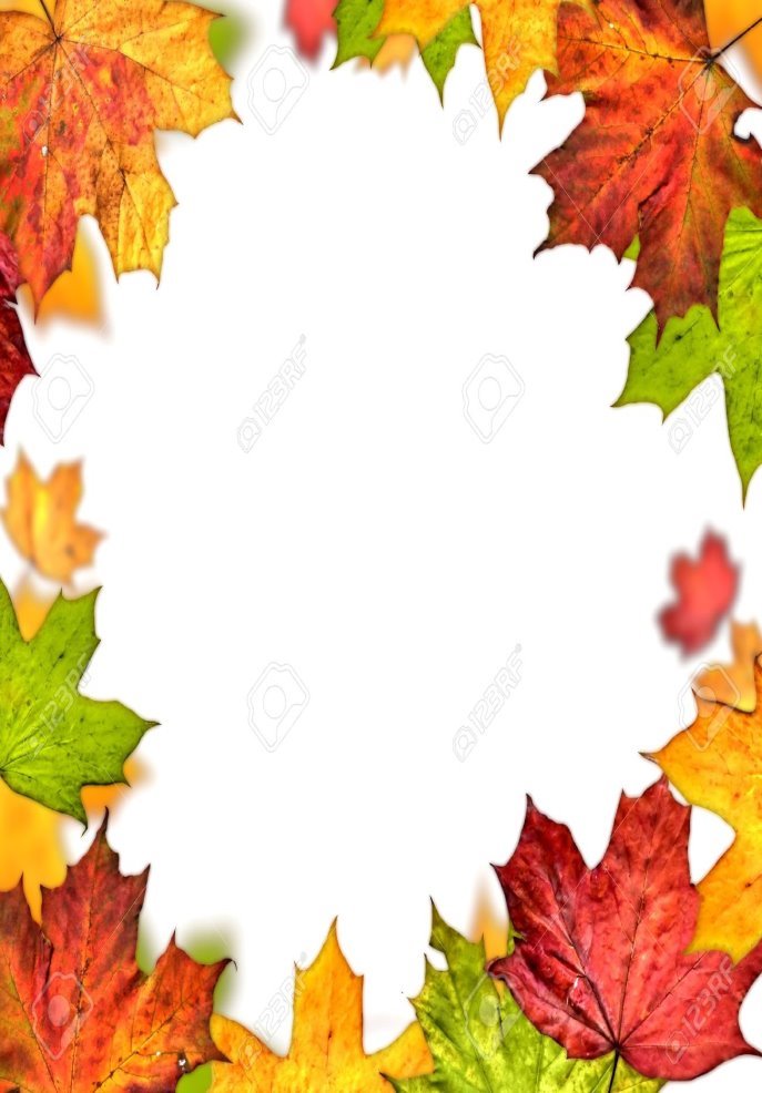 C:\Users\Администратор\Desktop\14619689-las-hojas-de-otoño-marco-aisladas-sobre-fondo-blanco.jpg