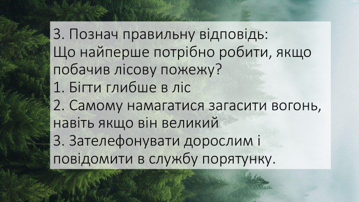 3. Познач правильну відповідь: Що найперше потрібно робити, якщо побачив лісову пожежу?1. Бігти глибше в ліс2. Самому намагатися загасити вогонь, навіть якщо він великий3. Зателефонувати дорослим і повідомити в службу порятунку.