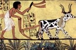 Землеробство Стародавнього Єгипту — Вікіпедія