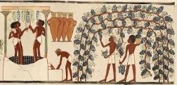 Какое вино пили в Древнем Египте? | Вино и около | Яндекс Дзен