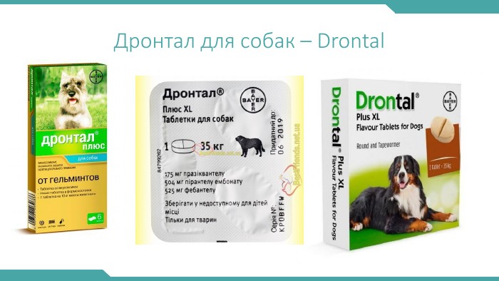 Дронтал для собак – Drontal