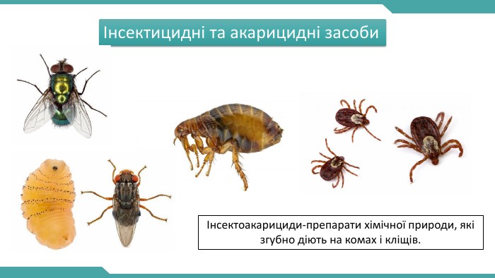 Інсектицидні та акарицидні засобиІнсектоакарициди-препарати хімічної природи, які згубно діють на комах і кліщів.