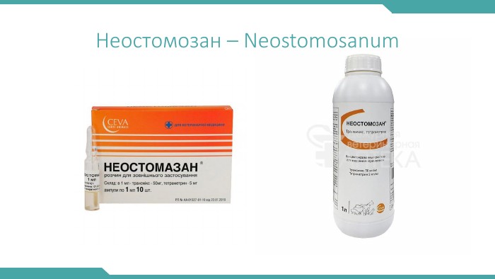Неостомозан – Neostomosanum