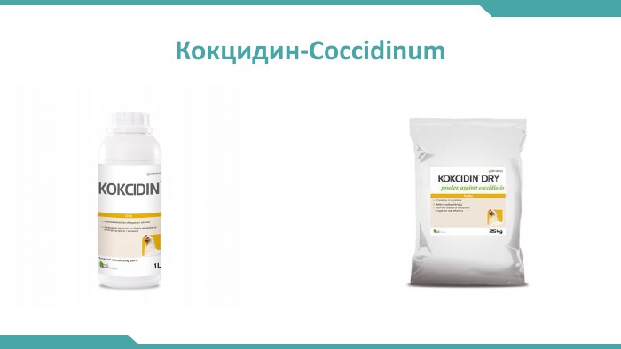 Кокцидин-Coccidinum