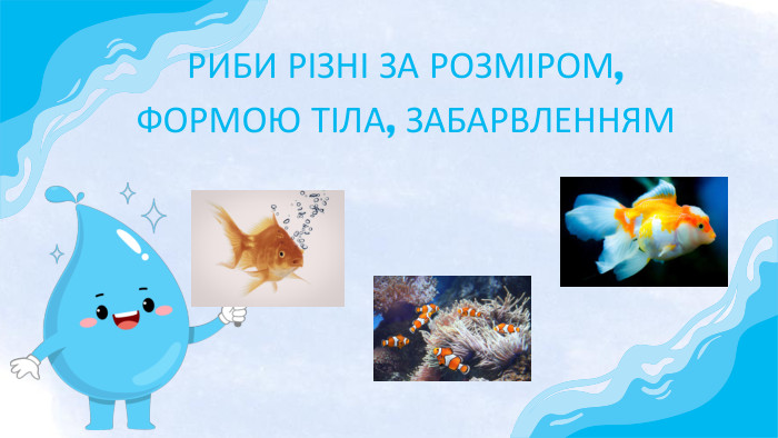 РИБИ РІЗНІ ЗА РОЗМІРОМ, ФОРМОЮ ТІЛА, ЗАБАРВЛЕННЯМ