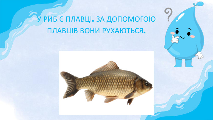 У РИБ Є ПЛАВЦІ. ЗА ДОПОМОГОЮ ПЛАВЦІВ ВОНИ РУХАЮТЬСЯ.