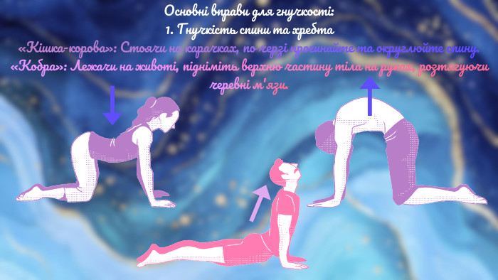 Основні вправи для гнучкості:1. Гнучкість спини та хребта«Кішка-корова»: Стоячи на карачках, по черзі прогинайте та округлюйте спину.«Кобра»: Лежачи на животі, підніміть верхню частину тіла на руках, розтягуючи черевні м'язи.